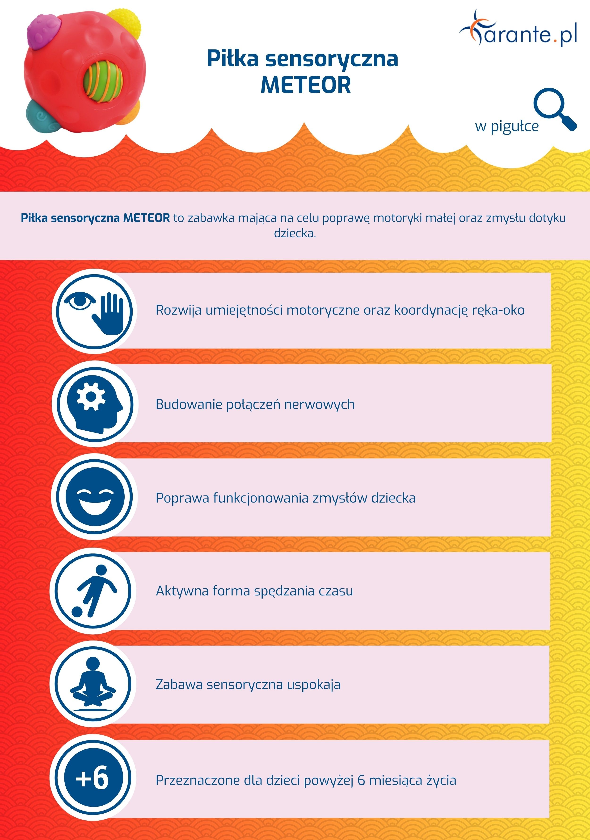 Piłka sensoryczna METEOR infografika